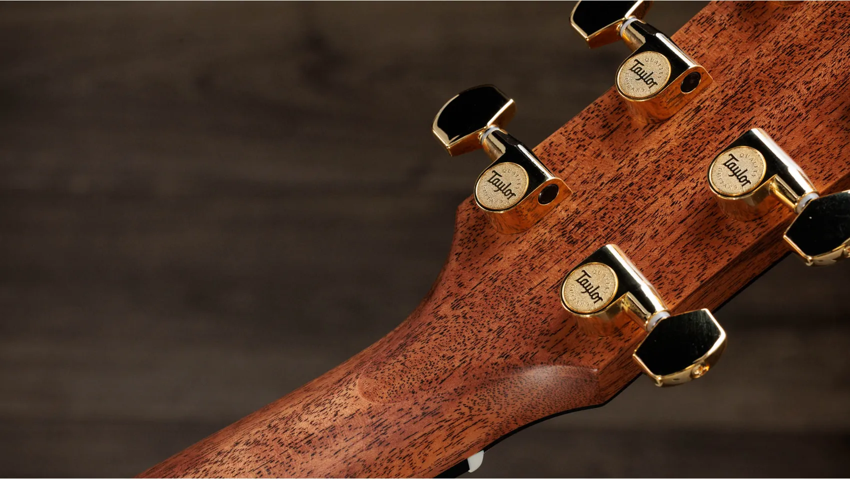 Gold Label 710e Special Edition Indian Rosewood Acoustic-Electric